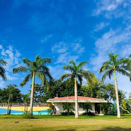 Srk Farm And Resort Anjar Экстерьер фото